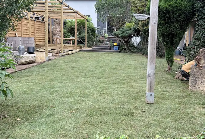 Grande pelouse tondue devant une pergola en bois