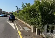 Haie débordant sur le trottoir avant la taille