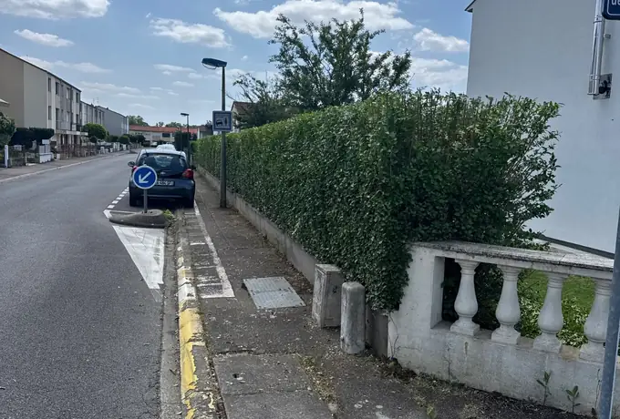 Haie taillée à hauteur régulière le long du trottoir après intervention