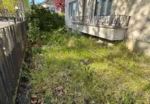 Bande de terrain en friche et herbes hautes avant intervention