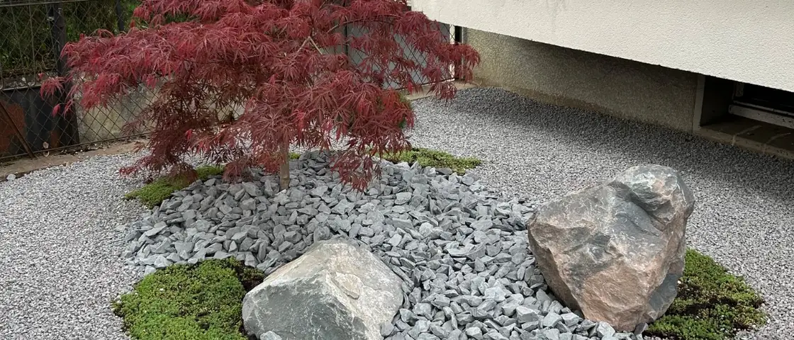 Massif minéral avec érable du Japon, rochers et gravier décoratif