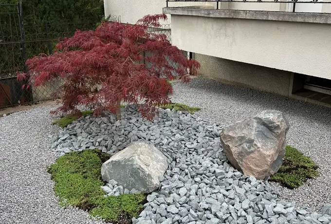 Massif minéral avec érable du Japon, rochers et gravier décoratif