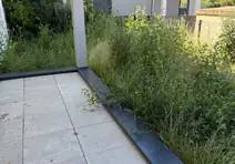 Herbes hautes envahissant la terrasse avant l'intervention