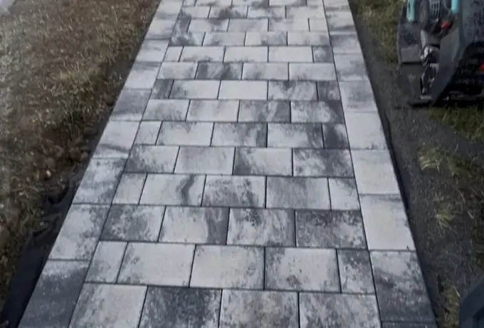 Allée pavée en damier gris et anthracite menant à une entrée de maison