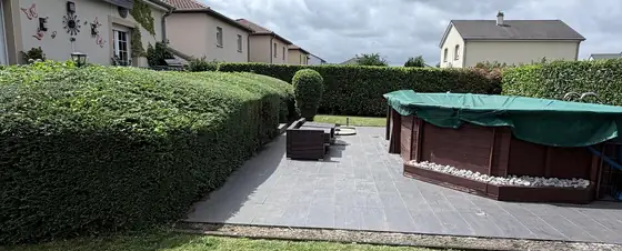Haie taillée au cordeau et if taillé en boule le long d'une terrasse de jardin